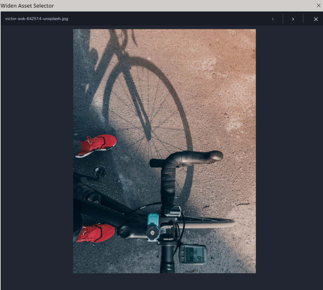 widen-asset-selector-preview