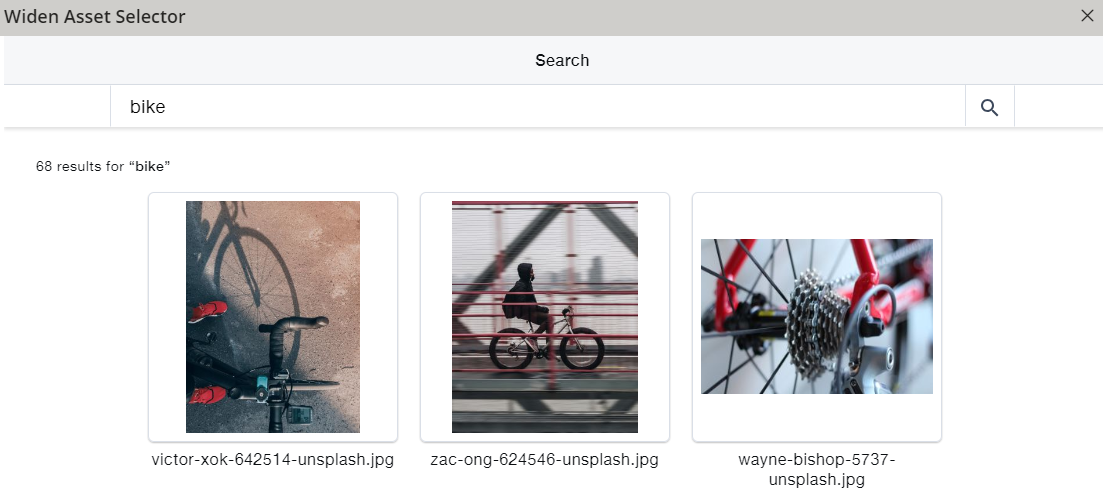 widen-asset-selector-result