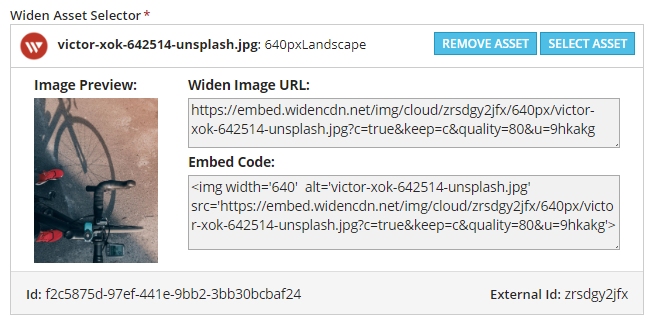 widen-asset-selector-set